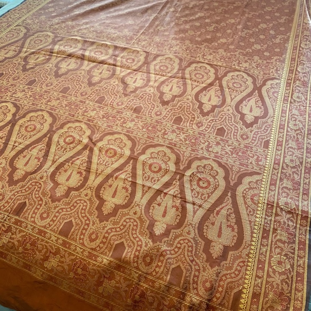 Orange Saree - image 1